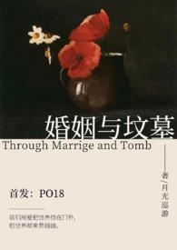 hp婚姻与坟墓小说